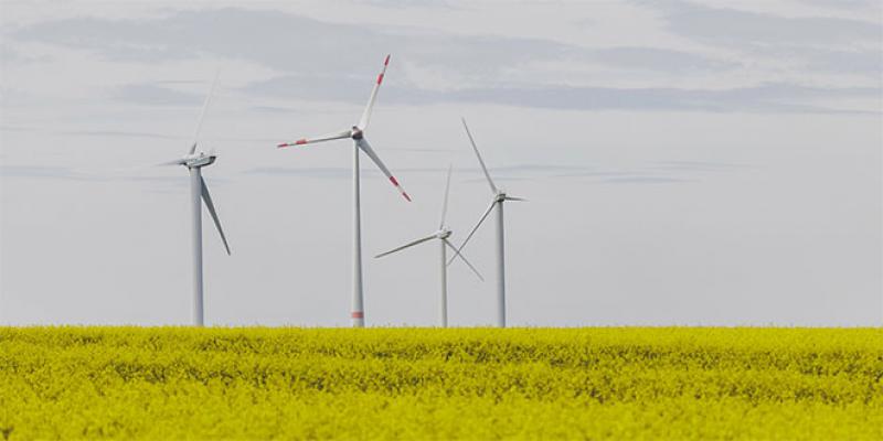 Comment l’énergie éolienne redéfinit le paysage mondial