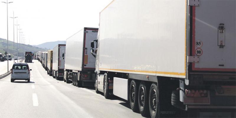 Fitch Solutions analyse le secteur logistique et le transport