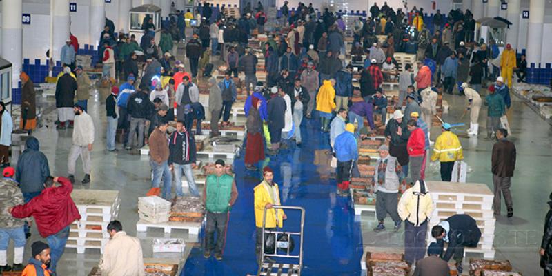 Tamesna : Le marché de gros entre en service