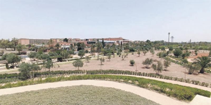 Marrakech: Les espaces verts arrosés par la Step
