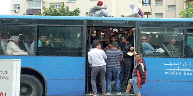 Casablanca Qui va payer l’ardoise salée de m’dina bus? 