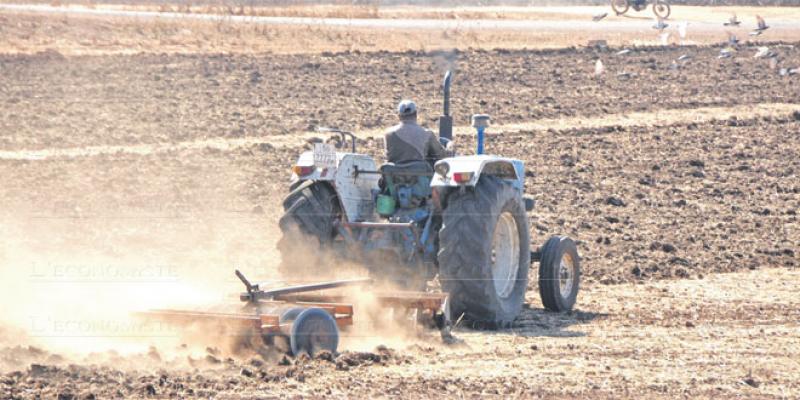 Agriculture Fès-Meknès: Des gisements pour 4,4 millions de personnes