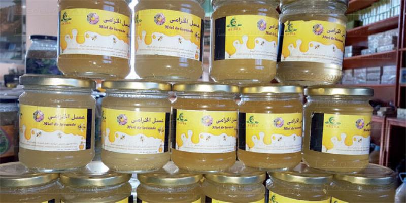 Berkane: Le miel de Béni Snassen cherche label