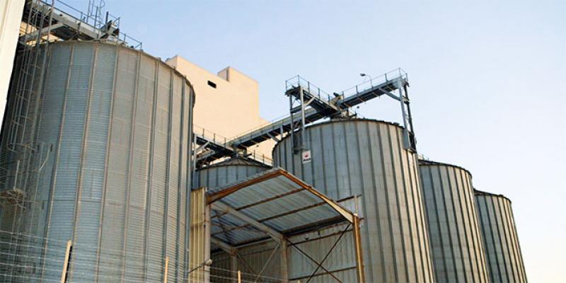 Minoteries: «Il faut arrêter de subventionner la farine!»