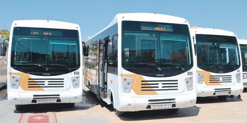 Oujda: Mobilys renforce sa flotte de bus