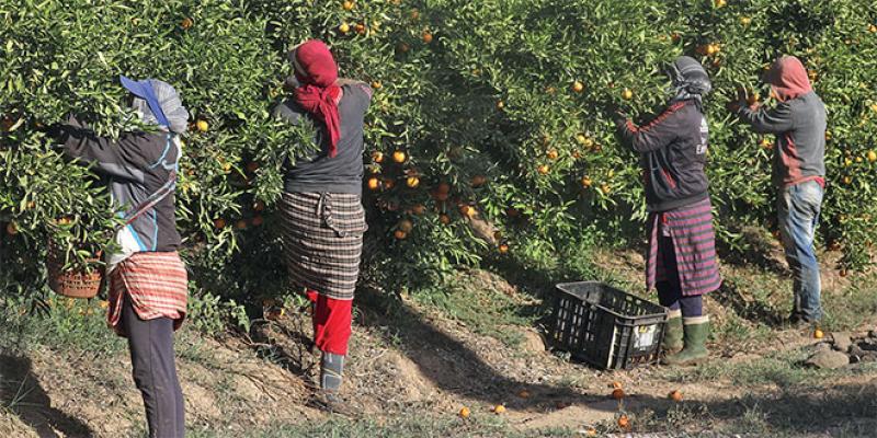 Morocco Today Forum: L’inclusion des femmes peine toujours