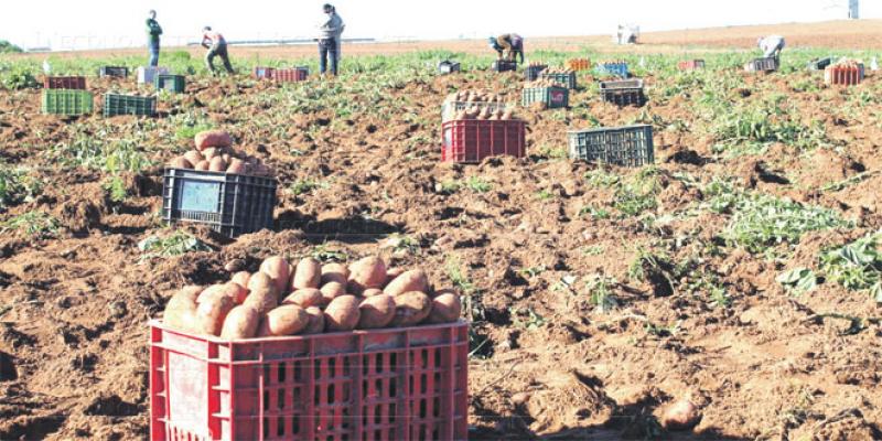 L'agriculture détruit ses emplois 