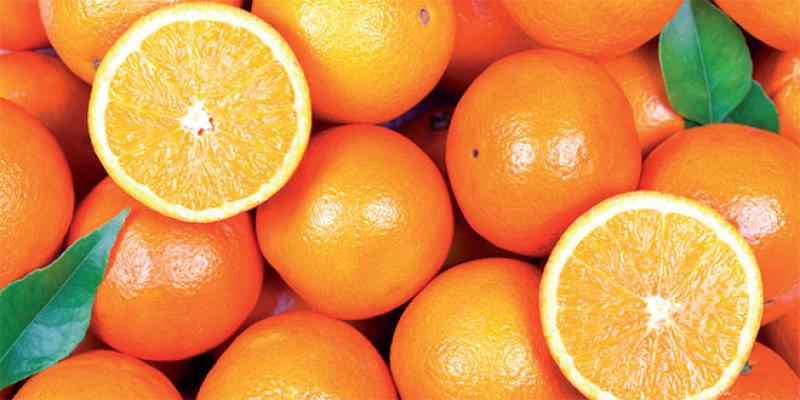 Citrus harvest: Worse than previous seasons