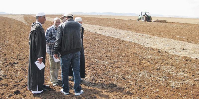 Foncier agricole: Les géomètres-topographes au coeur du processus