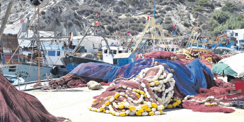Oriental: La pêche côtière perturbée