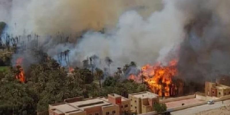 Errachidia : Un incendie consume l’oasis "Ouled Chaker"