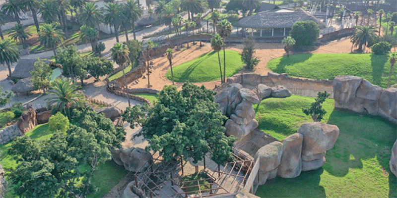 Zoo d’Aïn Sebaâ: Ouverture imminente?