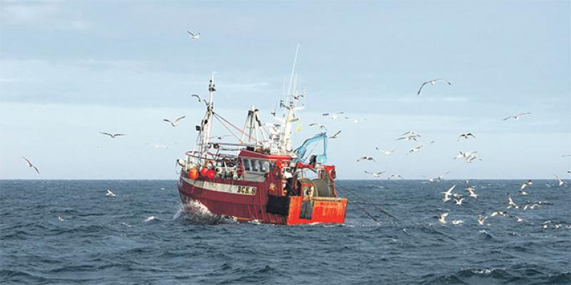 Pêche: L’UE veut restreindre le chalutage de fond