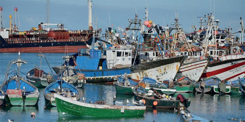 Un «NMD» pour la pêche et l’aquaculture 