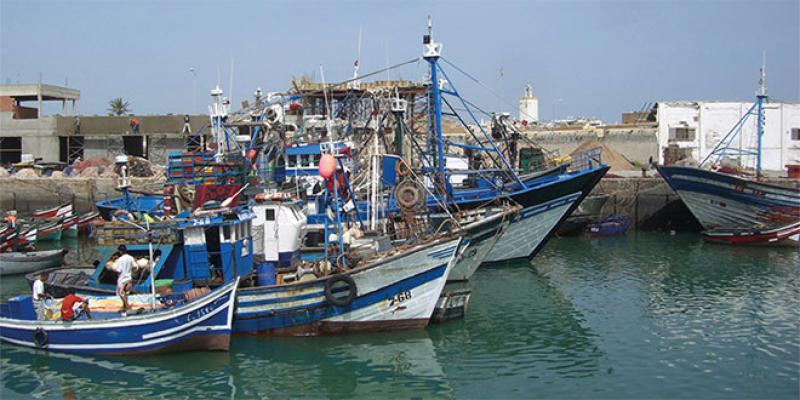 Pêche, durabilité, investissements… dans les régions