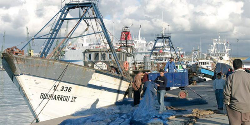 Pêche maritime: Les armateurs ont leur portail CNSS 