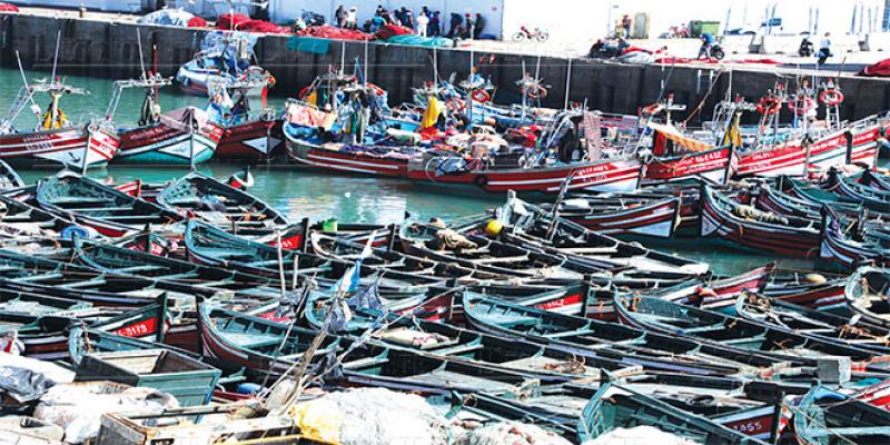 Pêche maritime: Détails du nouveau dispositif