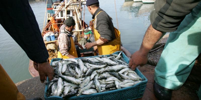 La pêche côtière et artisanale enregistre une baisse