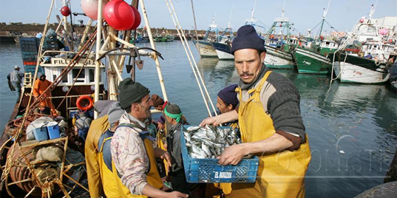 Baisse de 2% des débarquements de la pêche en valeur
