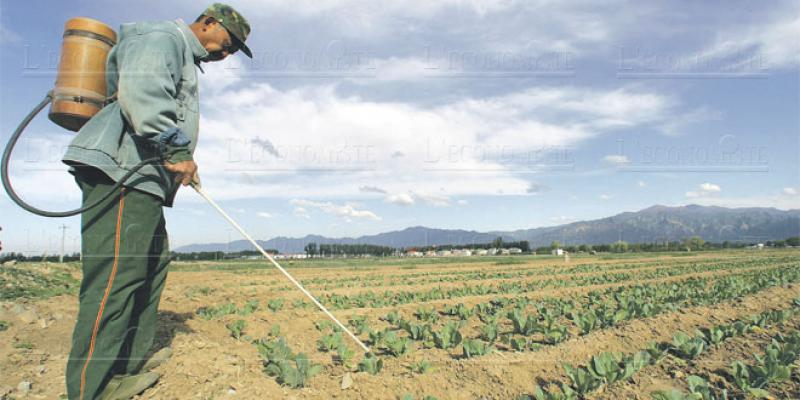 Pesticides: Le Maroc s’adapte à la réglementation de l’UE