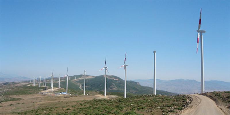 Spécial COP 27 - Pionnier en Afrique, le Maroc continue de pousser sa puissance éolienne