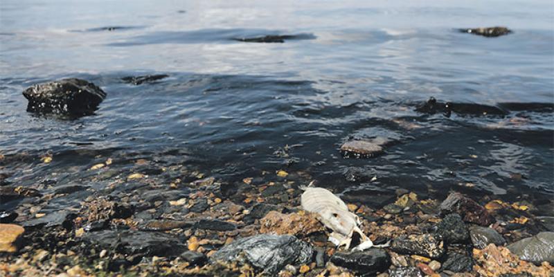 Développement durable - La pollution plastique, une menace sérieuse pour les océans