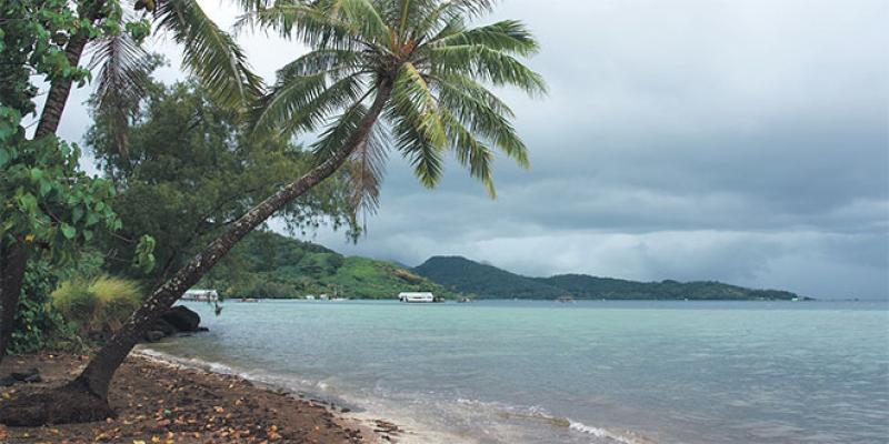 Polynésie: Les touristes de retour