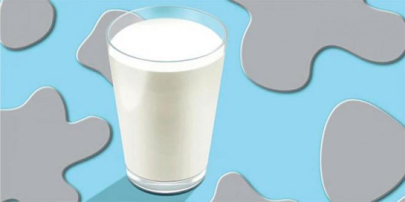 Produits laitiers: La double crise de la filière