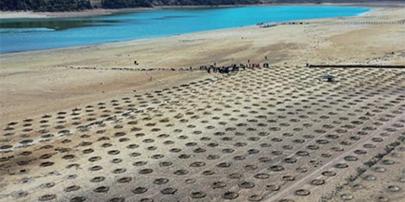 Préservation des zones humides : Mobilisation pour la sauvegarde des réservoirs naturels 