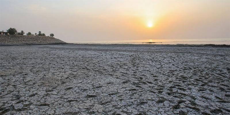 Energies, financement, adaptation…: Les enjeux de la COP28 à Dubaï