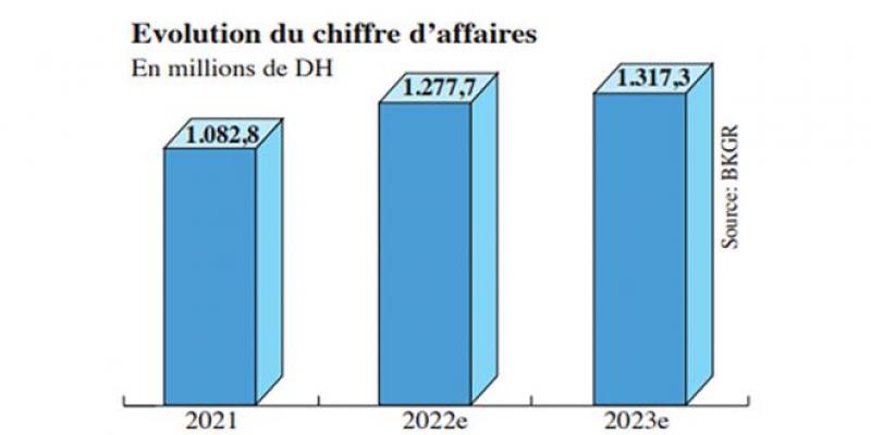 Snep: Une valeur à acheter, selon les analystes