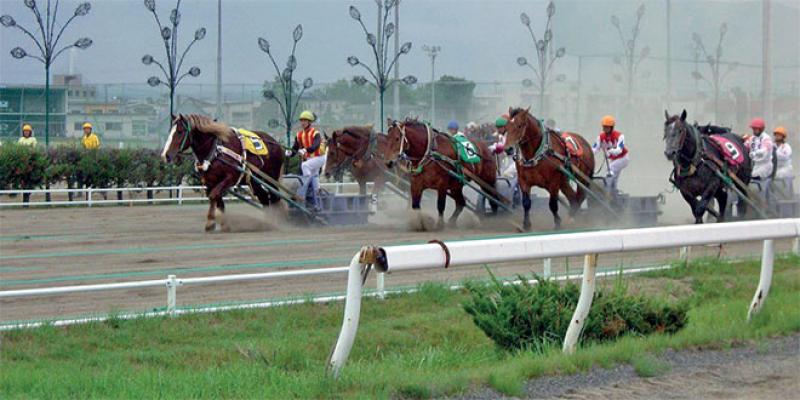 Japon: Le phénomène des courses de chevaux de trait