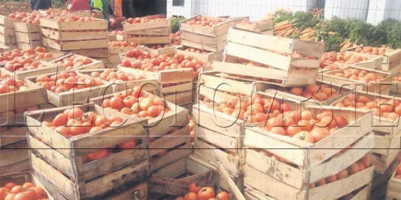 Tomates: Une campagne export moyenne