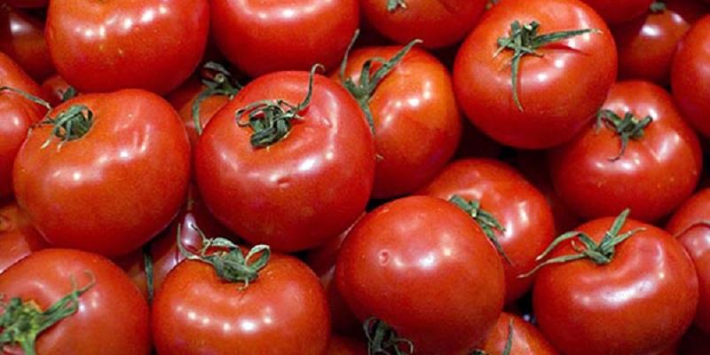Tomates :Azura dans le Top 10 des marques les plus vendues en France