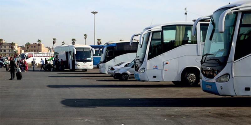 Road transport subsidies: Over 5.9 billion dirhams disbursed