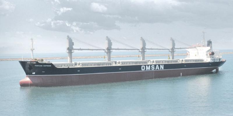 Transport maritime/logistique: Le turc Omsan monte en puissance