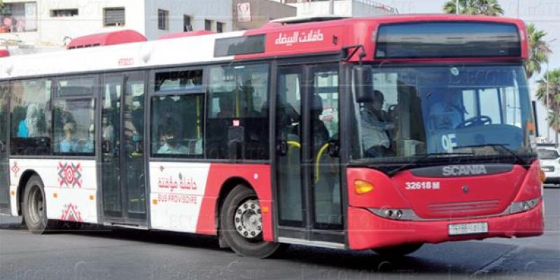 Casablanca: 560 millions de DH pour le transport par bus