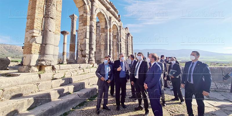 Volubilis: Restauration des mosaïques menacées