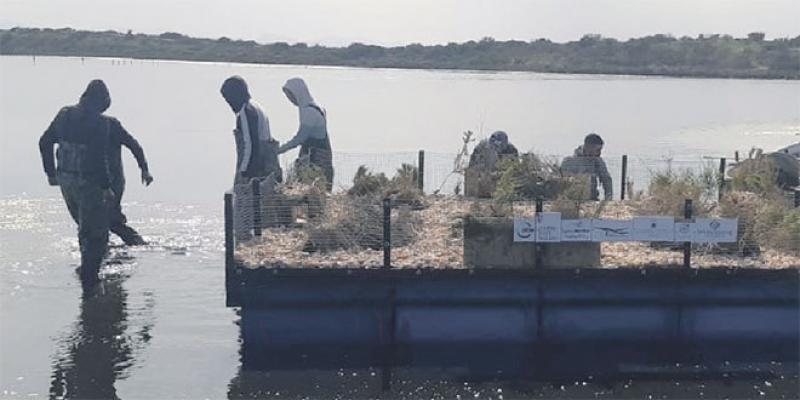 Oriental: Nador protège ses zones humides 