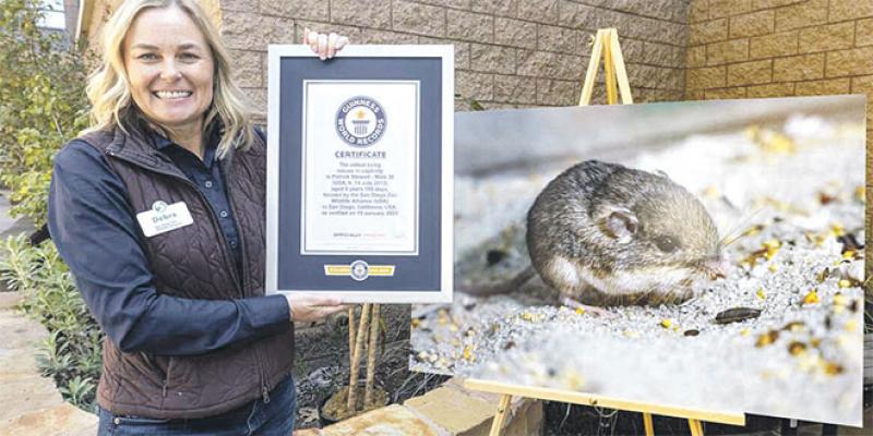 Le zoo de San diego abrite la souris la plus vieille du monde 