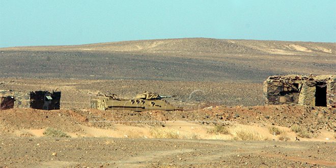 Véhicules de Transport de Troupes / Moroccan APCs - Page 6 Tank_sahara_trt