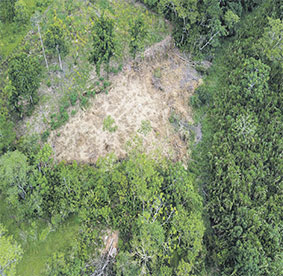 deforestation-092.jpg