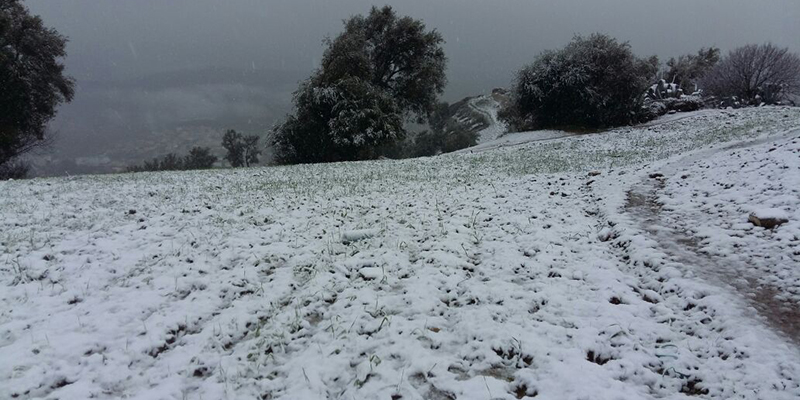Ola de frío y nevadas en varias provincias del Reino