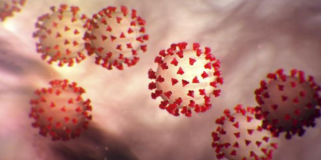 Recherche sur le coronavirus et les variants: L'UE injecte 120 millions d'euros