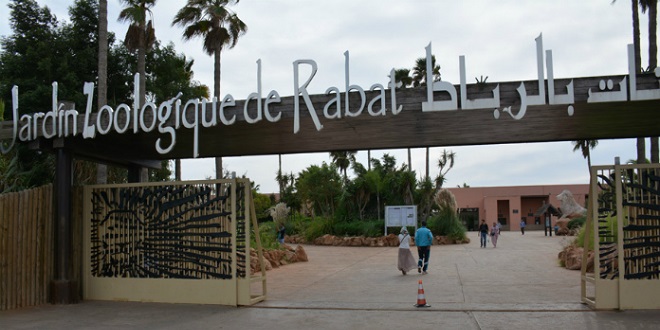 Zoológico de Rabat: perros salvajes, gacelas y avutardas se suman a la colección